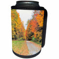3dRose Dreamscapes by Leslie - Scenery - Country road with a burst of fall colors - Can Cooler Bottle Wrap (cc_292205)