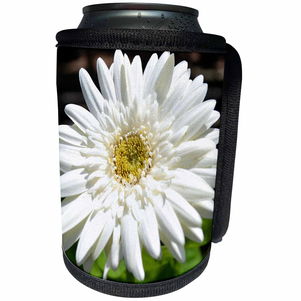 3dRose Patricia Sanders Flowers - White Gerbera Daisy Flowers - Can Cooler Bottle Wrap (cc_29221)