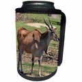 3dRose Dreamscapes by Leslie - Animals - Eland enjoying the spring weather - Can Cooler Bottle Wrap (cc_292215)