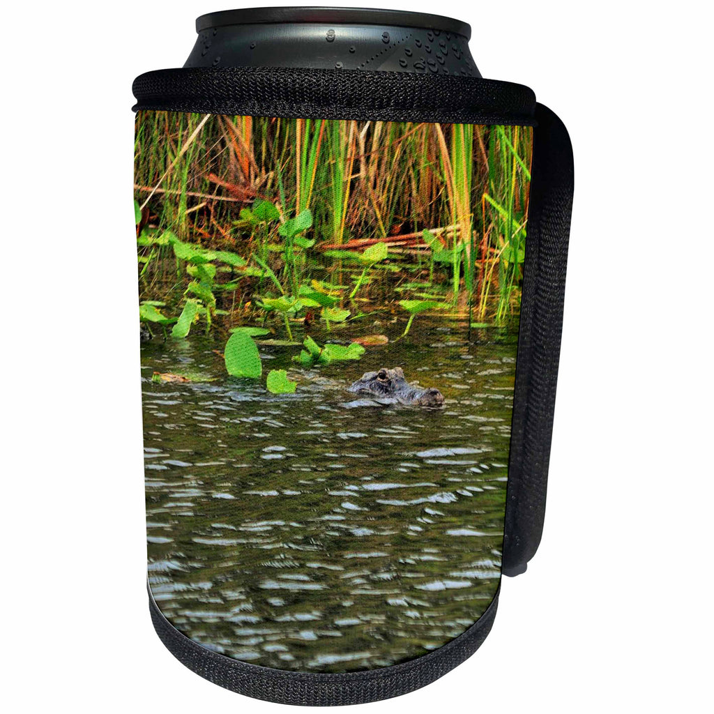 3dRose Dreamscapes by Leslie - Reptiles - Alligator in the FL everglades looking for dinner - Can Cooler Bottle Wrap (cc_292216)