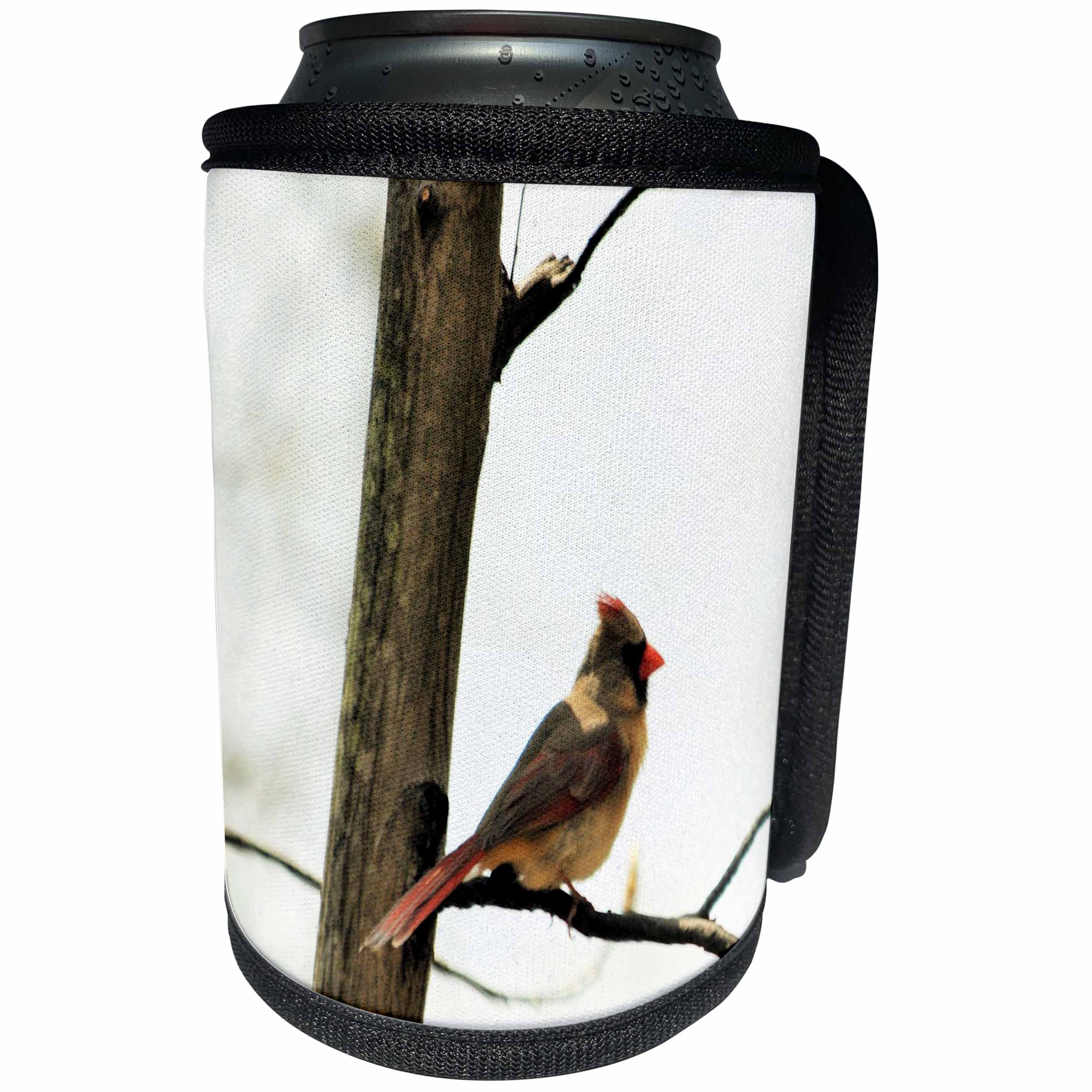 3dRose Dreamscapes by Leslie - Birds - Female cardinal sitting in a tree - Can Cooler Bottle Wrap (cc_292217)