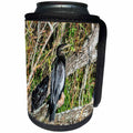 3dRose Dreamscapes by Leslie - Birds - Florida Anhinga bird waiting for food and watching for gators - Can Cooler Bottle Wrap (cc_292219)