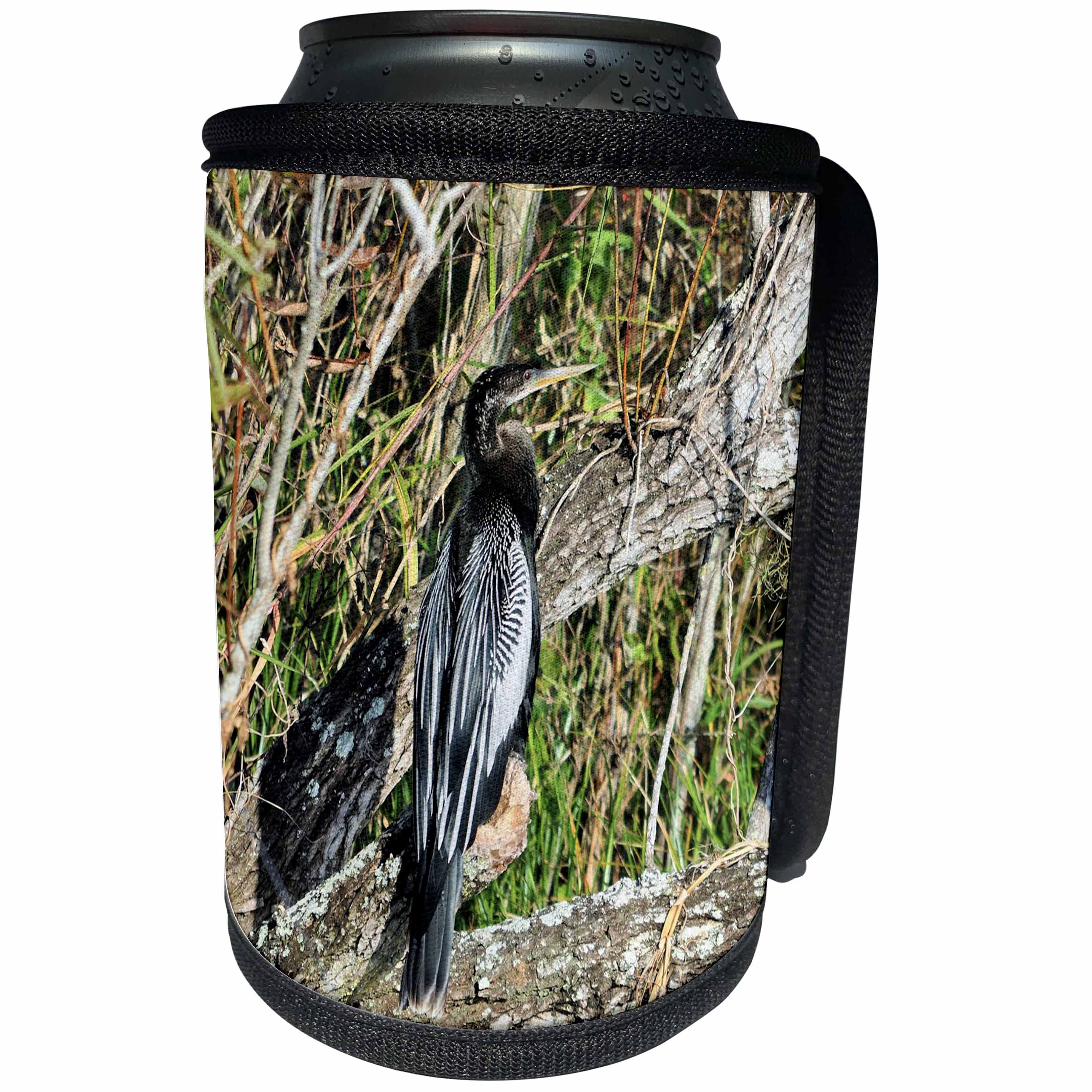 3dRose Dreamscapes by Leslie - Birds - Florida Anhinga bird waiting for food and watching for gators - Can Cooler Bottle Wrap (cc_292219)