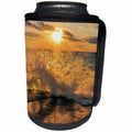 3dRose Dreamscapes by Leslie - Scenery - Sunset through the waves at Lake Michigan - Can Cooler Bottle Wrap (cc_292224)