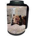 3dRose Dreamscapes by Leslie - Animals - Grizzly Bear napping in the sunshine - Can Cooler Bottle Wrap (cc_292225)