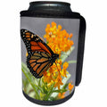 3dRose Dreamscapes by Leslie - Invertebrates - Monarch Butterfly on an orange flower in Florida - Can Cooler Bottle Wrap (cc_292235)