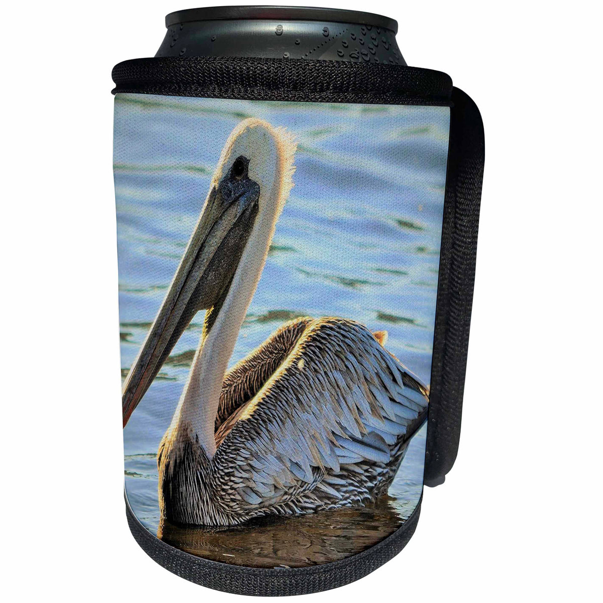 3dRose Dreamscapes by Leslie - Birds - Pelican swimming in the gulf - Can Cooler Bottle Wrap (cc_292241)