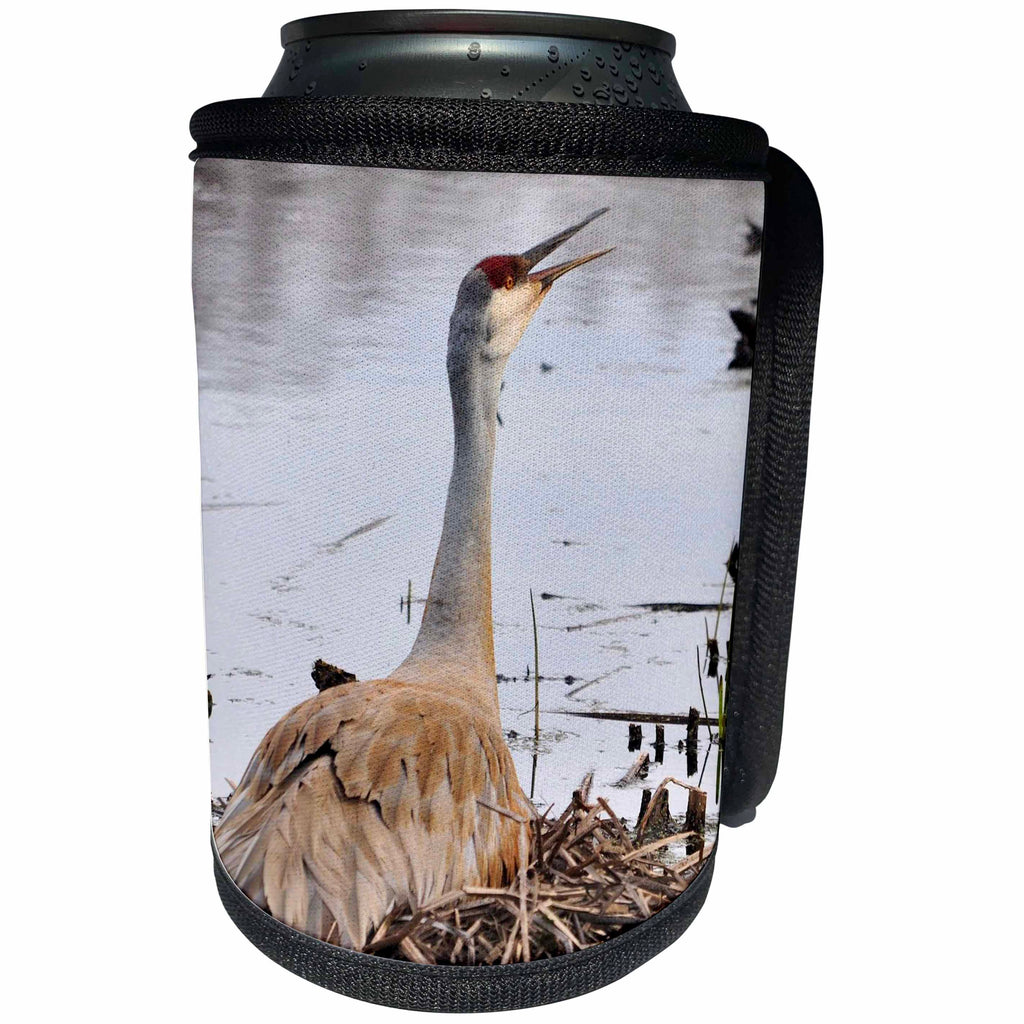 3dRose Dreamscapes by Leslie - Birds - Sandhill Crane calling its mate - Can Cooler Bottle Wrap (cc_292243)