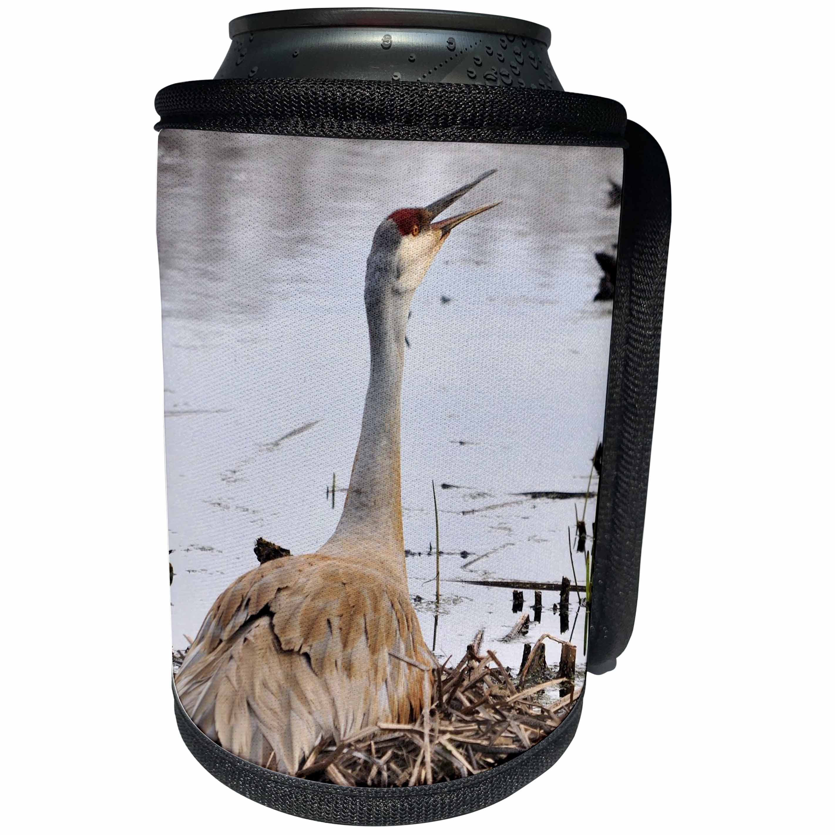 3dRose Dreamscapes by Leslie - Birds - Sandhill Crane calling its mate - Can Cooler Bottle Wrap (cc_292243)