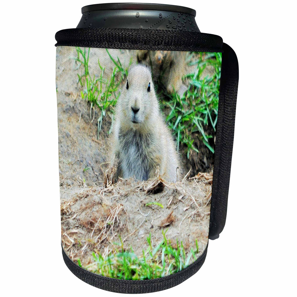 3dRose Dreamscapes by Leslie - Animals - Curious baby prairie dog - Can Cooler Bottle Wrap (cc_292262)