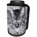 3dRose Dreamscapes by Leslie - Animals - Beautiful Maine Coon, Simba in Black and White - Can Cooler Bottle Wrap (cc_292263)