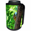 3dRose Dreamscapes by Leslie - Animals - Ground Squirrel in a tree playing peek a boo - Can Cooler Bottle Wrap (cc_292265)