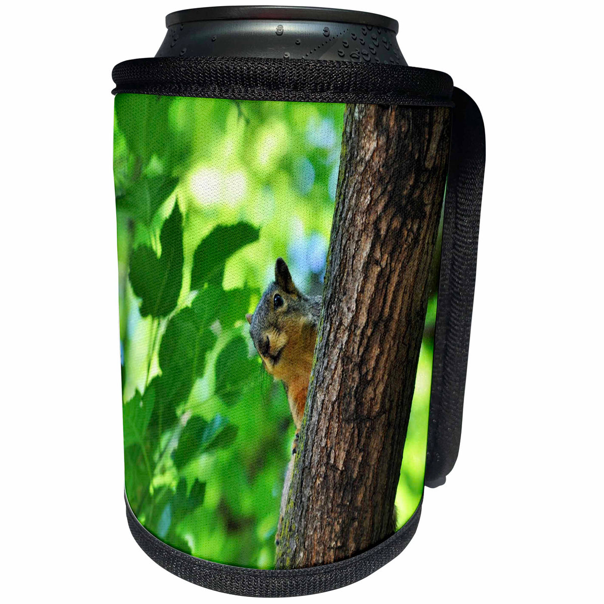 3dRose Dreamscapes by Leslie - Animals - Ground Squirrel in a tree playing peek a boo - Can Cooler Bottle Wrap (cc_292265)