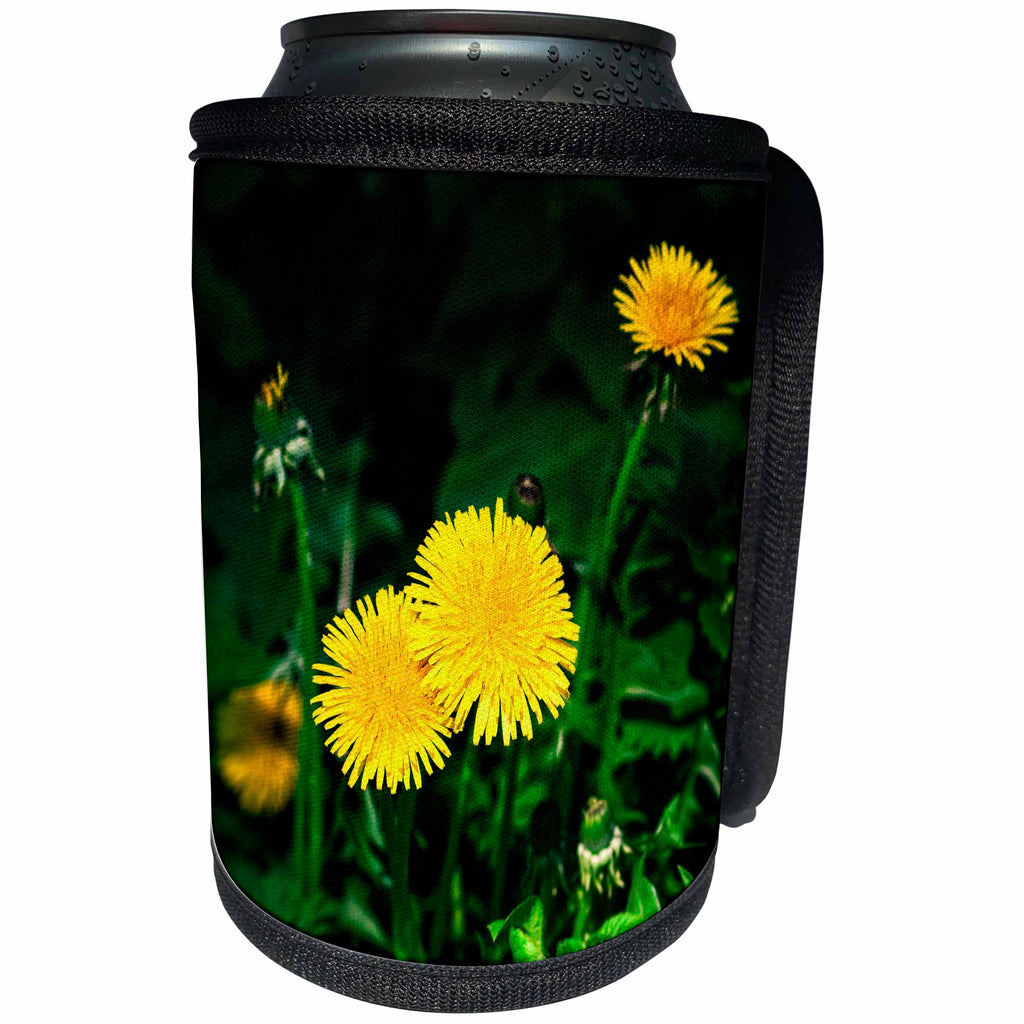 3dRose Alexis Photography - Flowers Dandelion - Group of sunlit yellow dandelion flowers. Emerald green grass - Can Cooler Bottle Wrap (cc_292276)