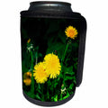 3dRose Alexis Photography - Flowers Dandelion - Group of sunlit yellow dandelion flowers. Emerald green grass - Can Cooler Bottle Wrap (cc_292276)