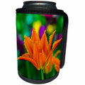 3dRose Alexis Photography - Flowers Tulips - Wide opened fringed tulip flower of orange color. Festive background - Can Cooler Bottle Wrap (cc_292286)