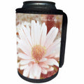 3dRose Patricia Sanders Flowers - Vintage Gerbera Daisy Thank You Floral Flowers - Can Cooler Bottle Wrap (cc_29229)