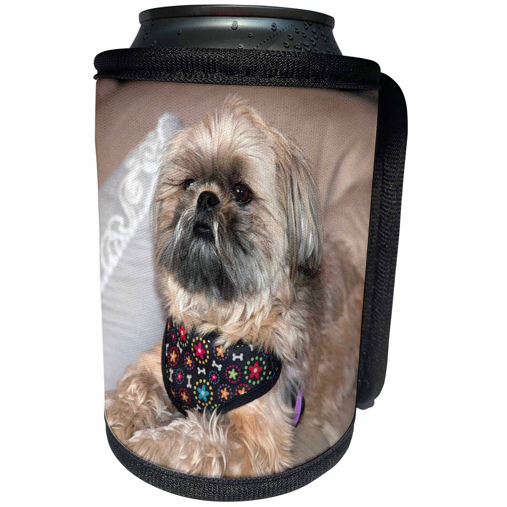 3dRose Jos Fauxtographee- Shih Tzu with Harness - A Shih Tzu Doggie with a cute harness - Can Cooler Bottle Wrap (cc_292576)