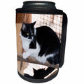 3dRose Jos Fauxtographee- Kitty Cat Black and White - A black and white Cat sitting on a branch in Kanab - Can Cooler Bottle Wrap (cc_292589)
