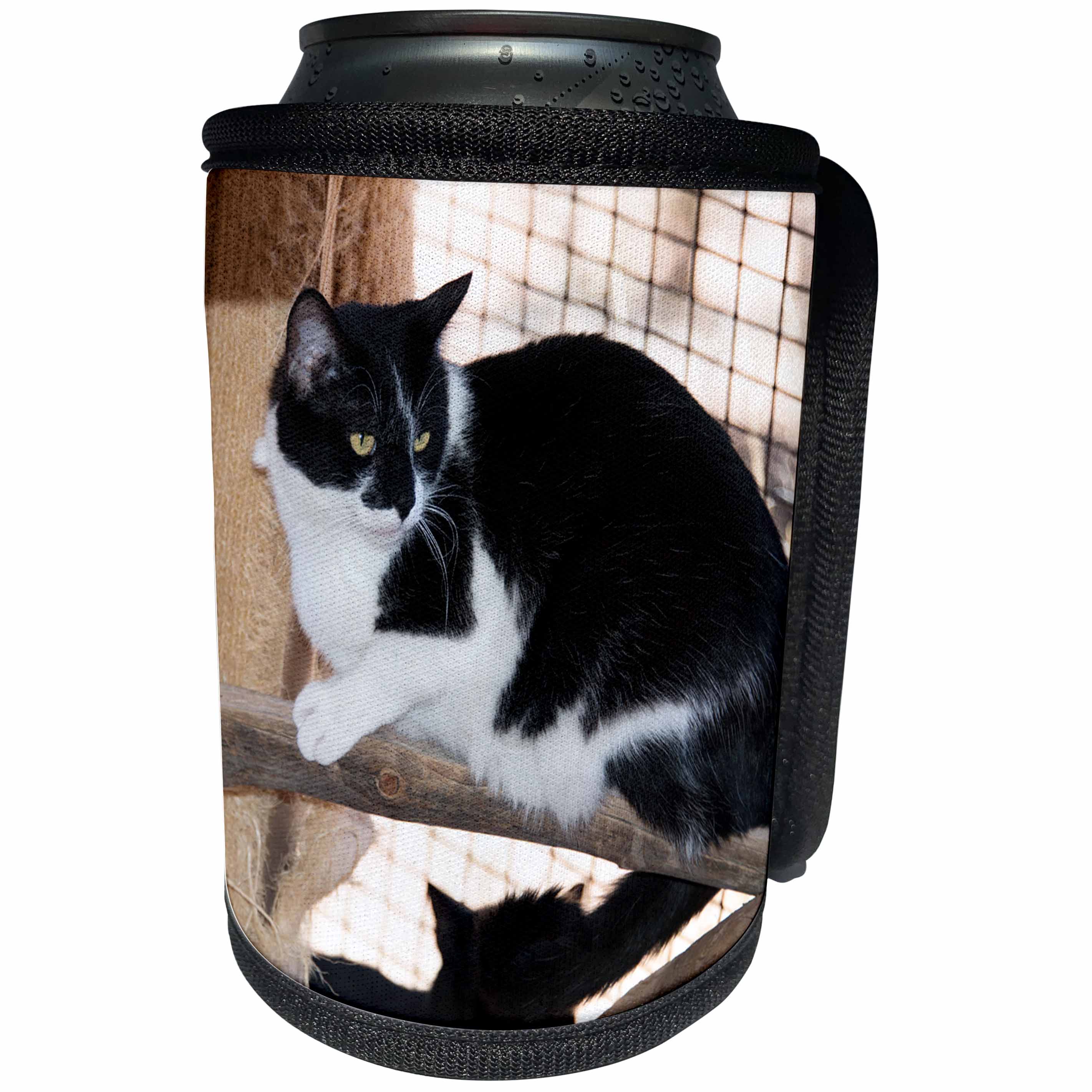 3dRose Jos Fauxtographee- Kitty Cat Black and White - A black and white Cat sitting on a branch in Kanab - Can Cooler Bottle Wrap (cc_292589)