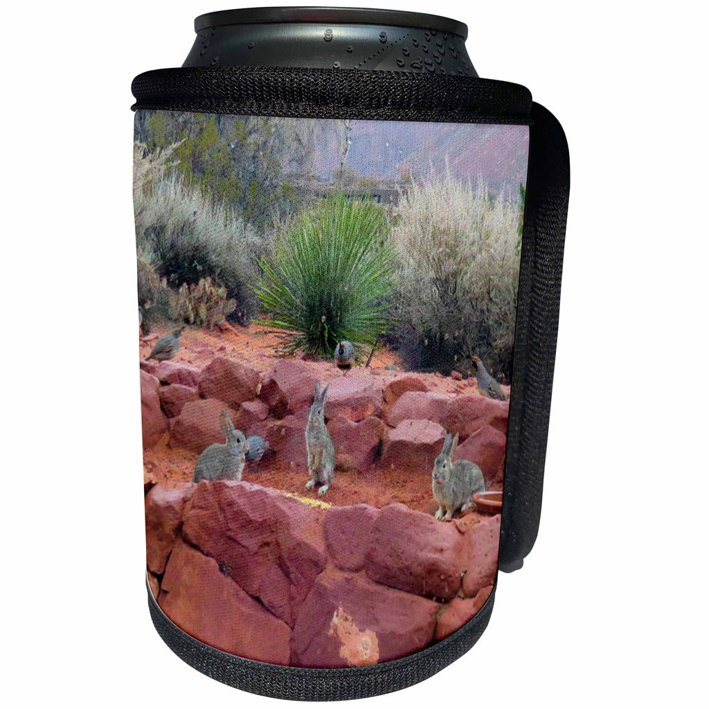 3dRose Jos Fauxtographee- Bunnies Kayenta - Three Bunny Rabbits sitting on red rock in Kayenta Utah - Can Cooler Bottle Wrap (cc_292597)