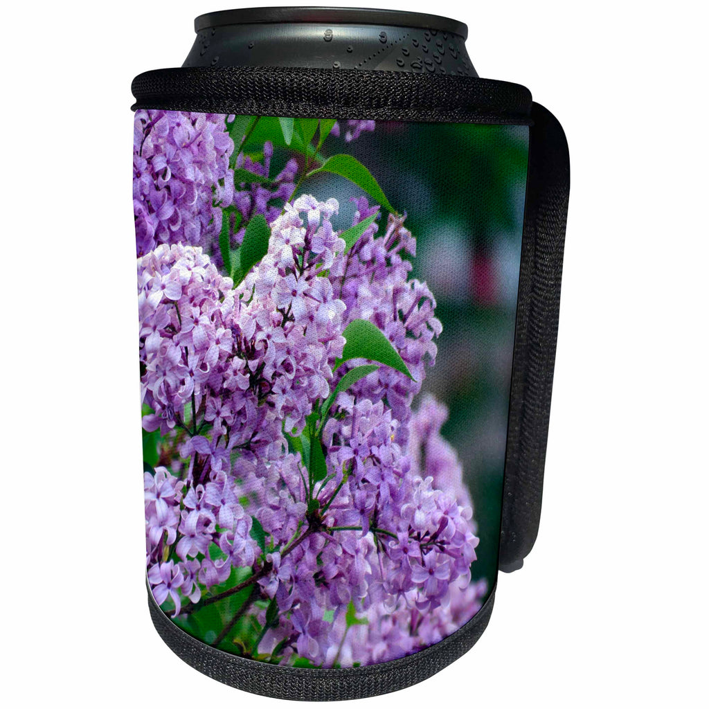 3dRose Jos Fauxtographee- Syringa - Syringa or Lilac bush with purple flowers up close - Can Cooler Bottle Wrap (cc_292613)