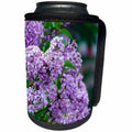 3dRose Jos Fauxtographee- Syringa - Syringa or Lilac bush with purple flowers up close - Can Cooler Bottle Wrap (cc_292613)