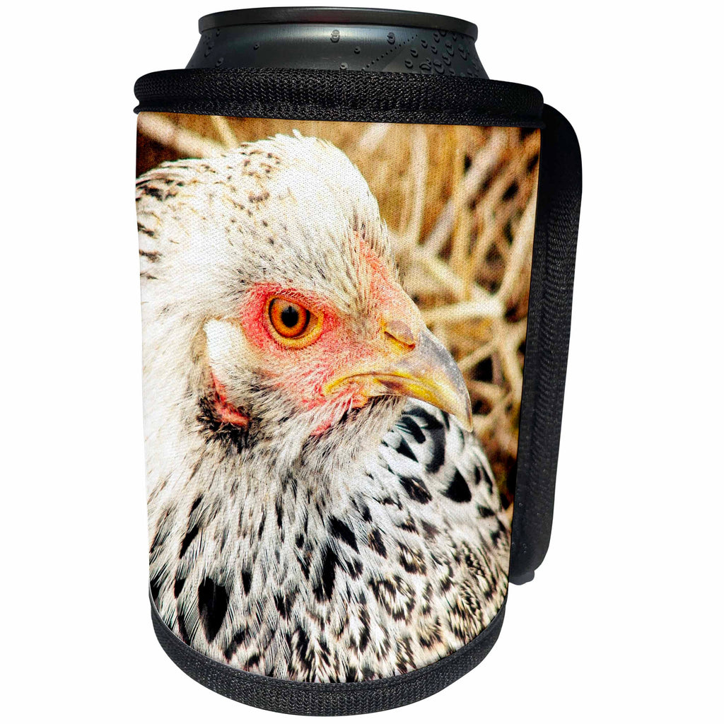 3dRose Cassie Peters Chickens - Brahma Hen - Can Cooler Bottle Wrap (cc_292673)