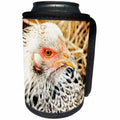3dRose Cassie Peters Chickens - Brahma Hen - Can Cooler Bottle Wrap (cc_292673)