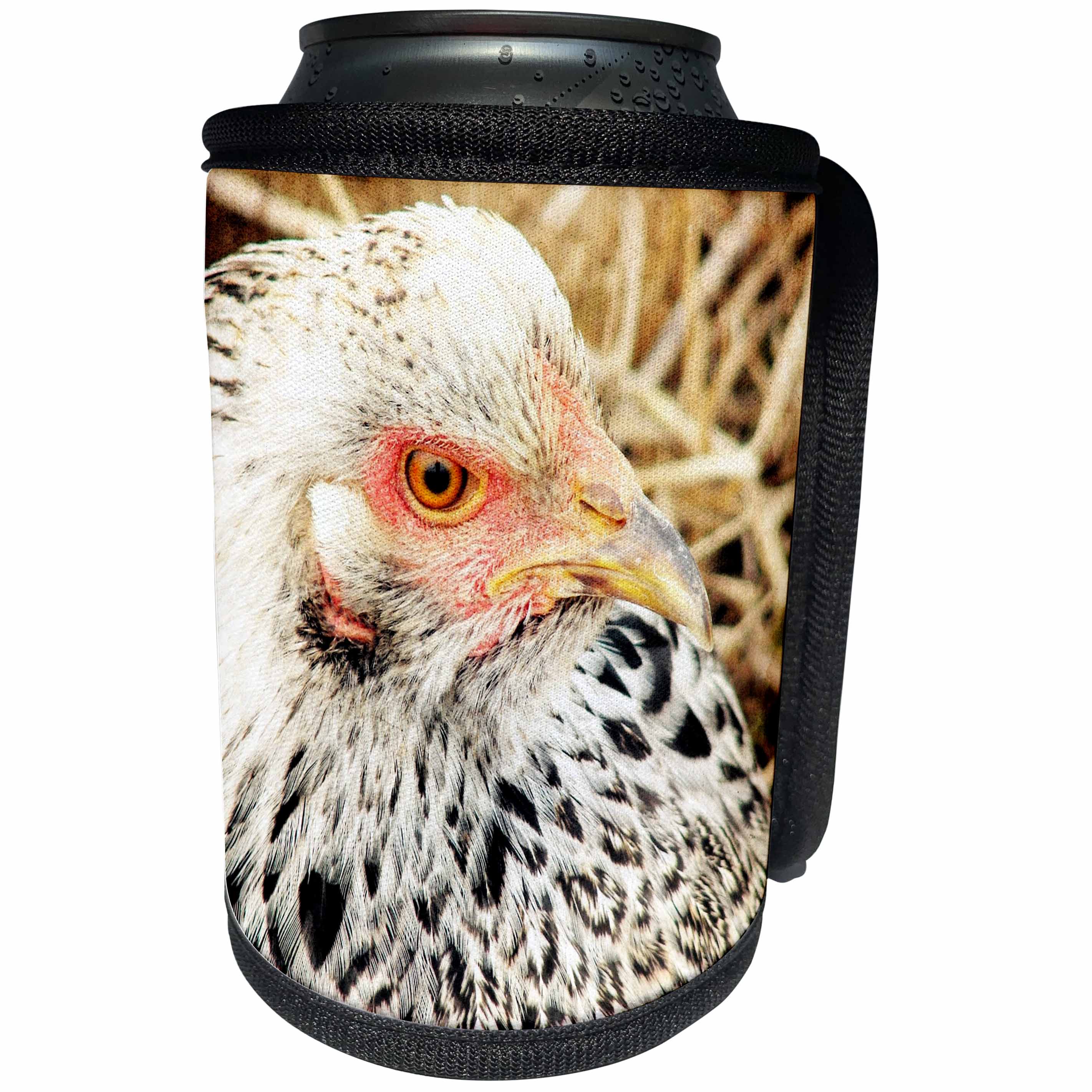 3dRose Cassie Peters Chickens - Brahma Hen - Can Cooler Bottle Wrap (cc_292673)