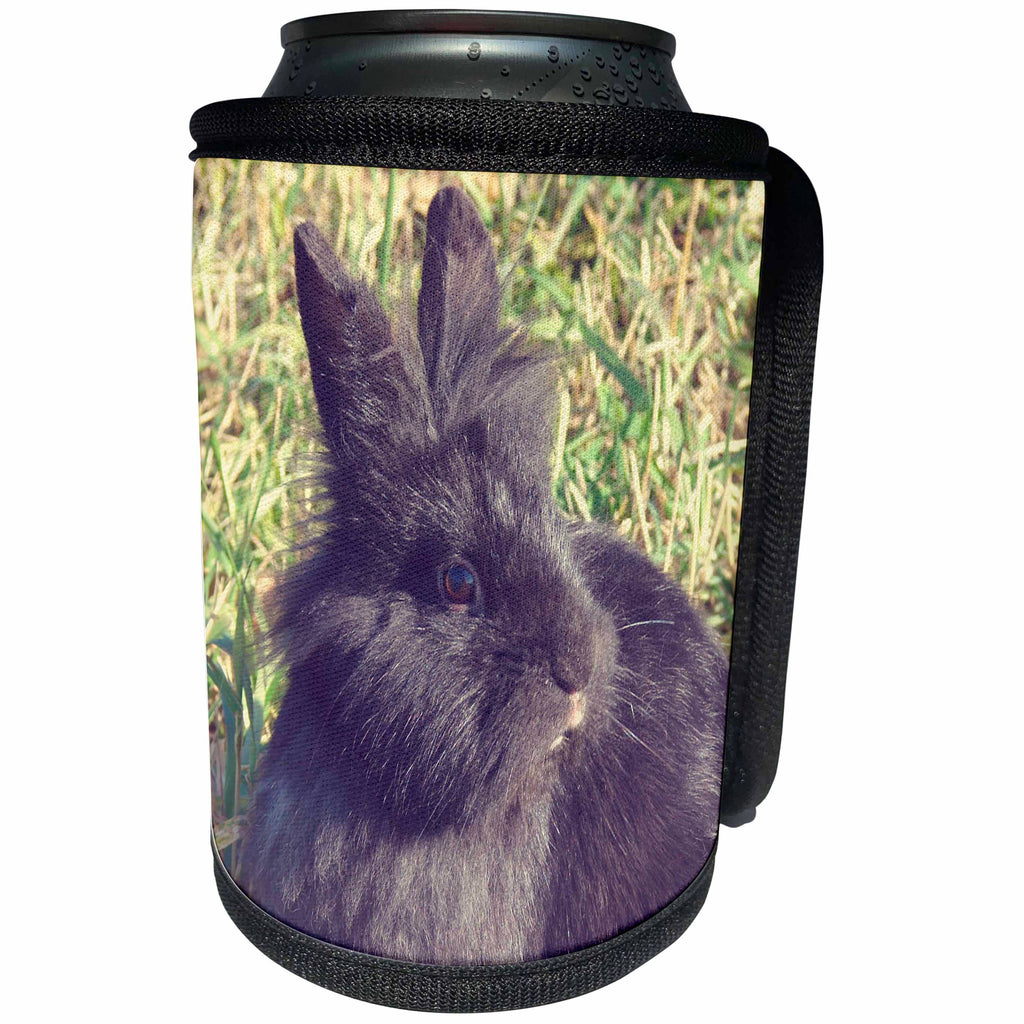 3dRose Cassie Peters Photography - Black Lionhead Rabbit - Can Cooler Bottle Wrap (cc_292692)