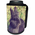 3dRose Cassie Peters Photography - Black Lionhead Rabbit - Can Cooler Bottle Wrap (cc_292692)