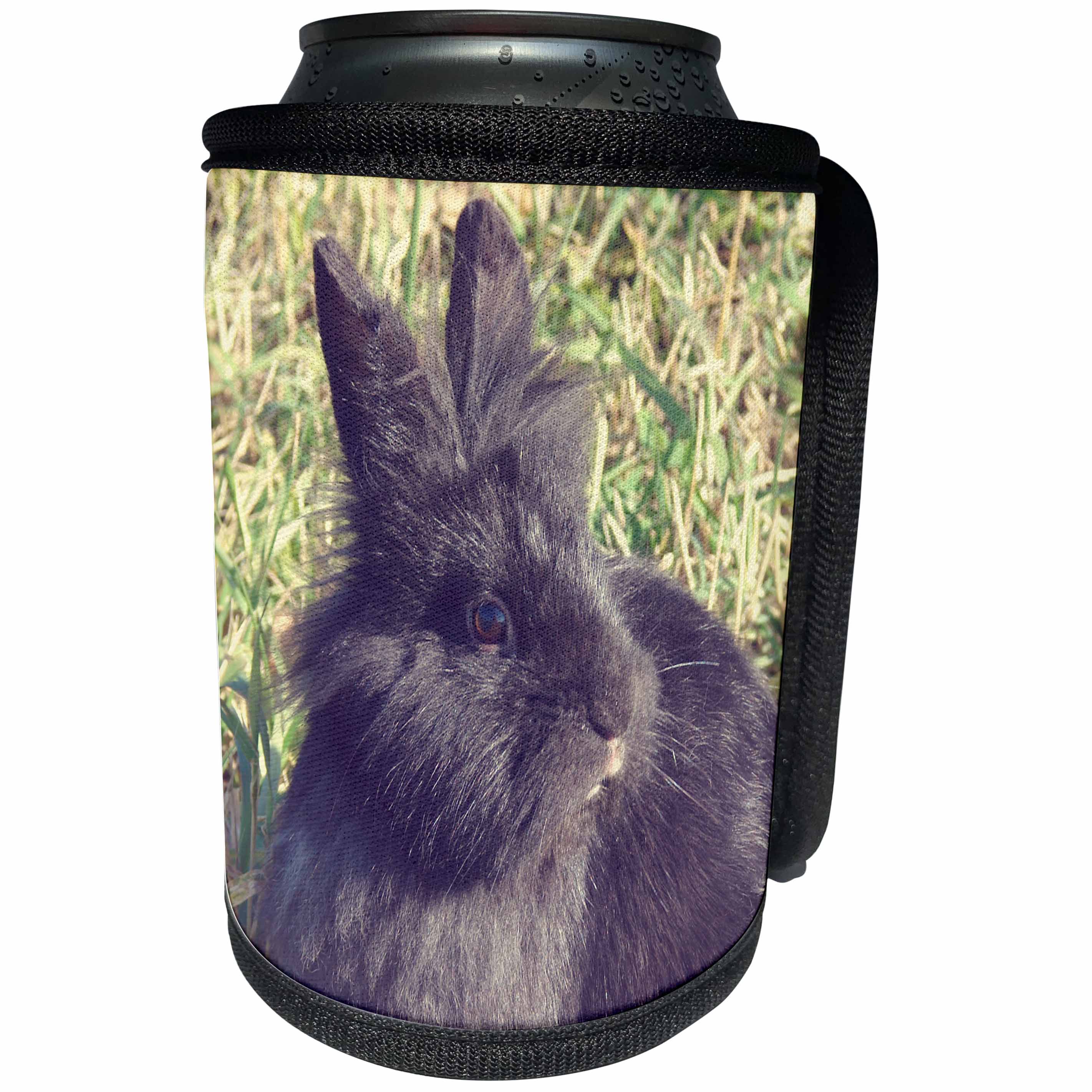 3dRose Cassie Peters Photography - Black Lionhead Rabbit - Can Cooler Bottle Wrap (cc_292692)
