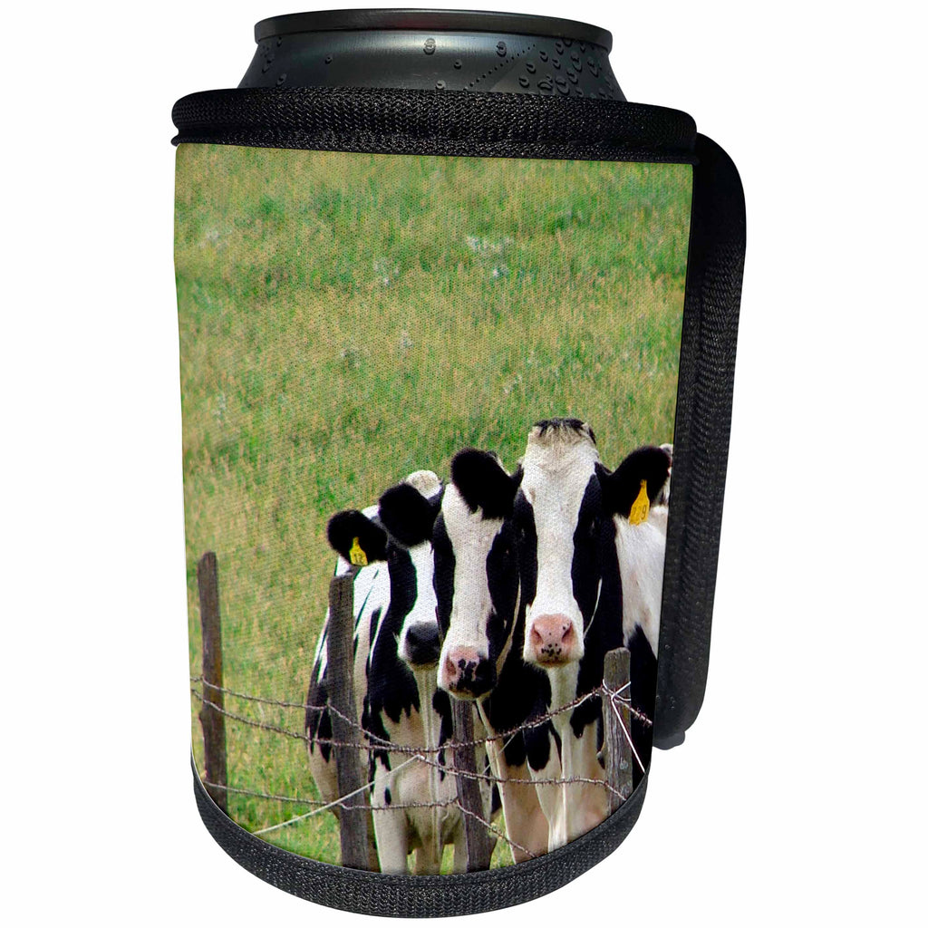3dRose Cassie Peters Photography - Dairy Cattle in a Line on a Fenceline - Can Cooler Bottle Wrap (cc_292695)