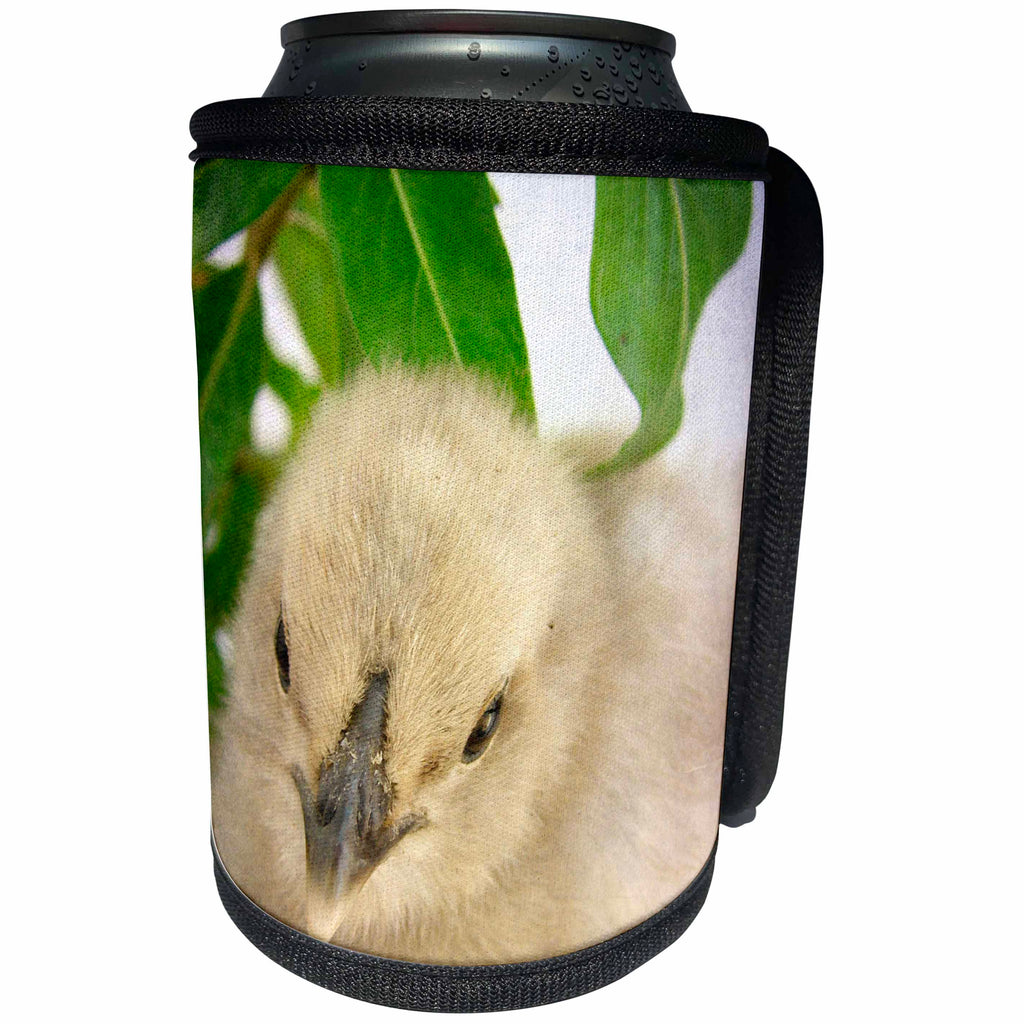3dRose Cassie Peters Chickens - Blue Chick - Can Cooler Bottle Wrap (cc_292700)
