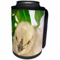 3dRose Cassie Peters Chickens - Blue Chick - Can Cooler Bottle Wrap (cc_292700)