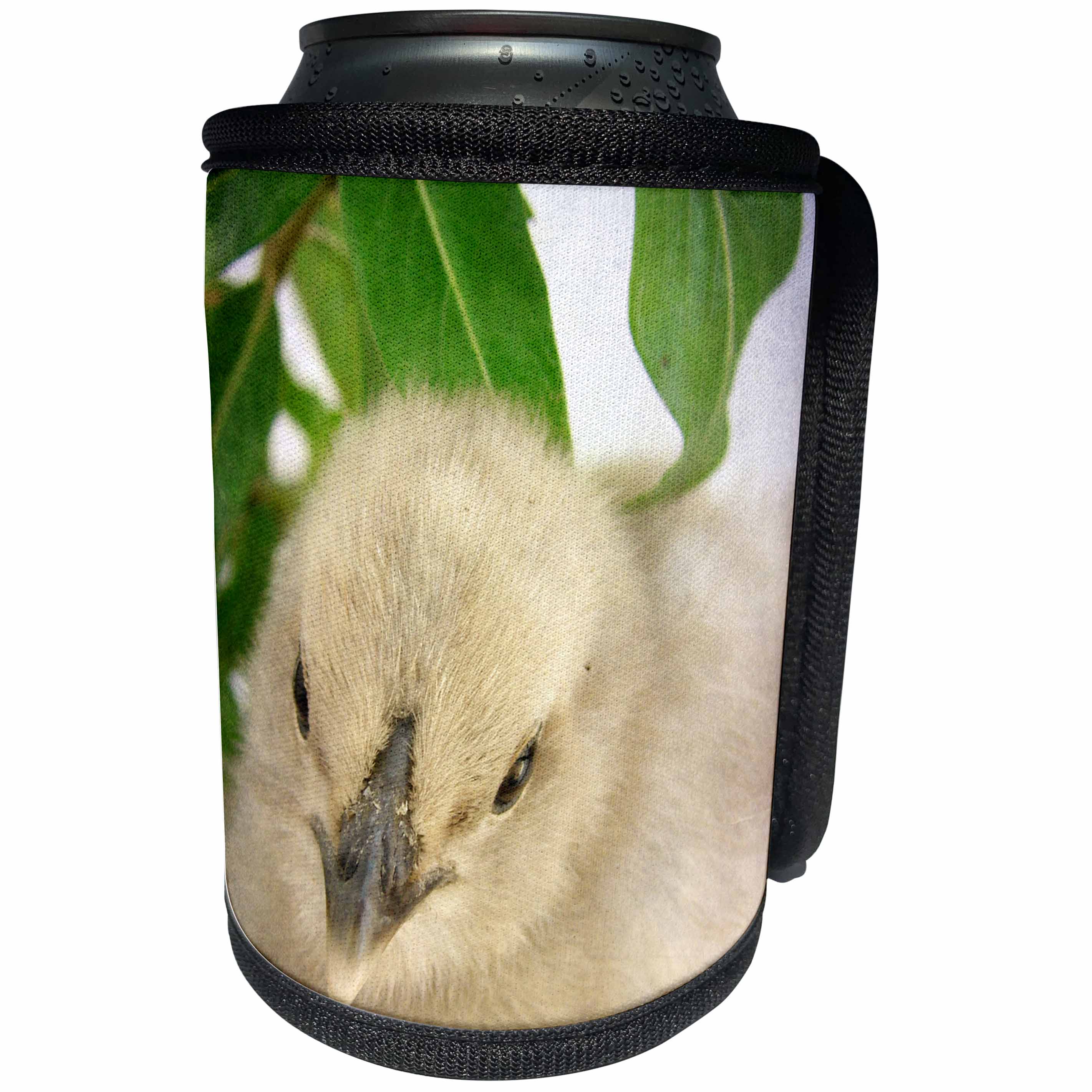 3dRose Cassie Peters Chickens - Blue Chick - Can Cooler Bottle Wrap (cc_292700)