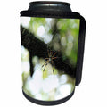 3dRose Stamp City - insects - Photograph of golden silk orb weaver hanging out in its intricate web. - Can Cooler Bottle Wrap (cc_292953)