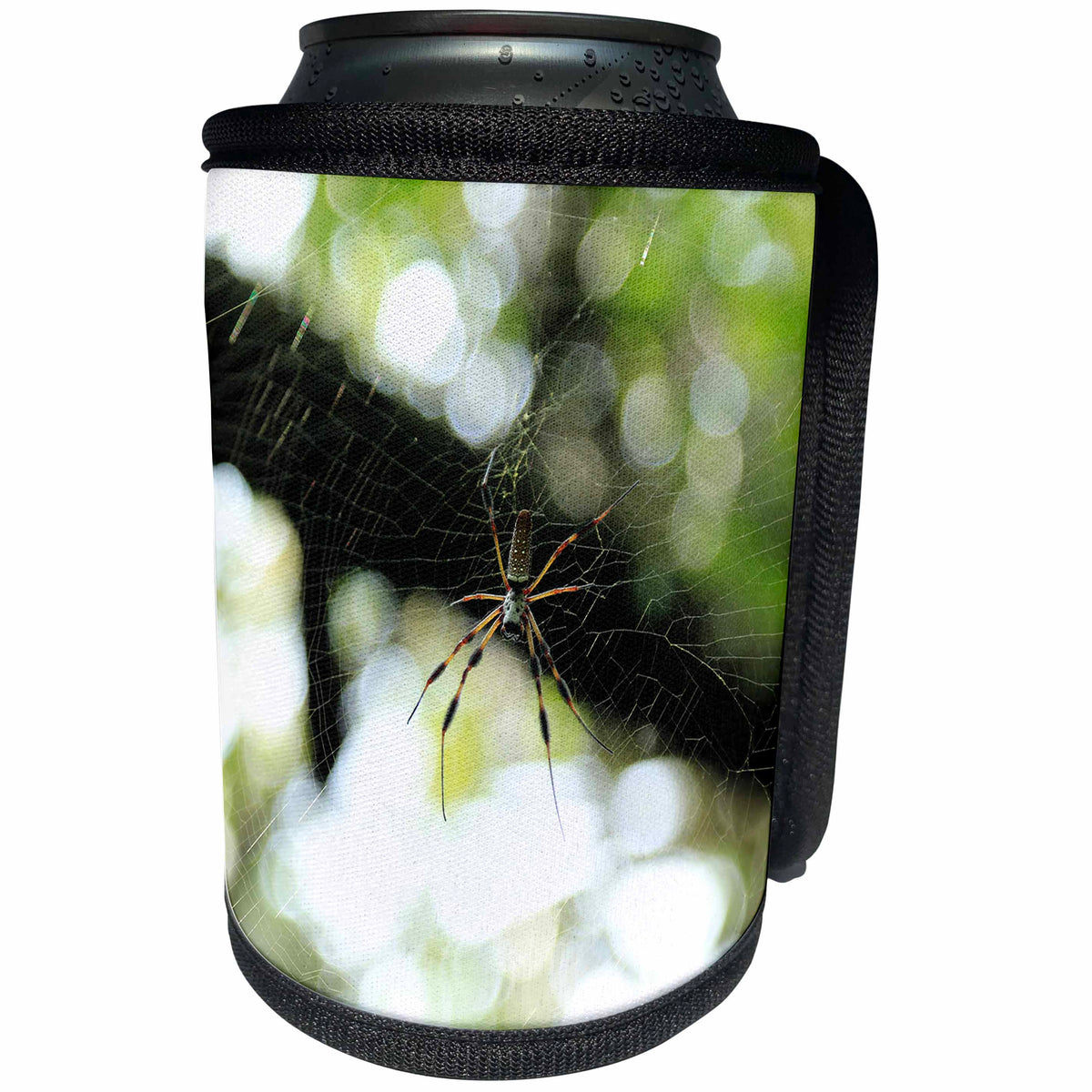 3dRose Stamp City - insects - Photograph of golden silk orb weaver hanging out in its intricate web. - Can Cooler Bottle Wrap (cc_292953)