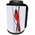 3dRose Stamp City - birds - Photograph of a male Northern Cardinal on a branch during a snow storm - Can Cooler Bottle Wrap (cc_292962)