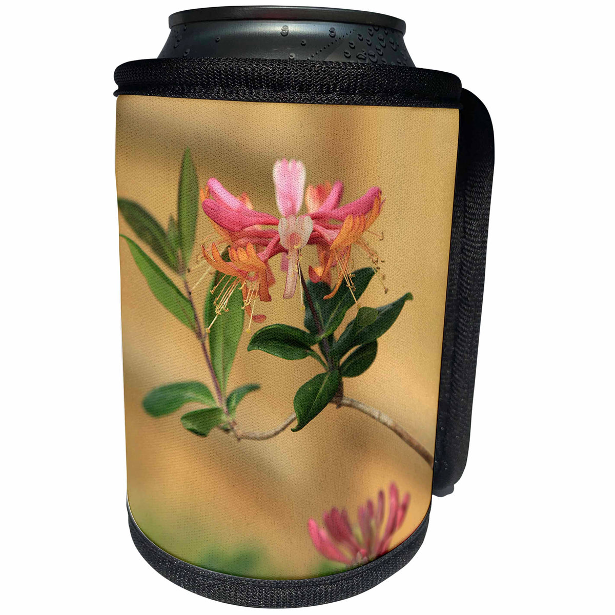 3dRose Stamp City - flowers - Photograph of firecracker honeysuckle from our garden in full bloom. - Can Cooler Bottle Wrap (cc_292971)