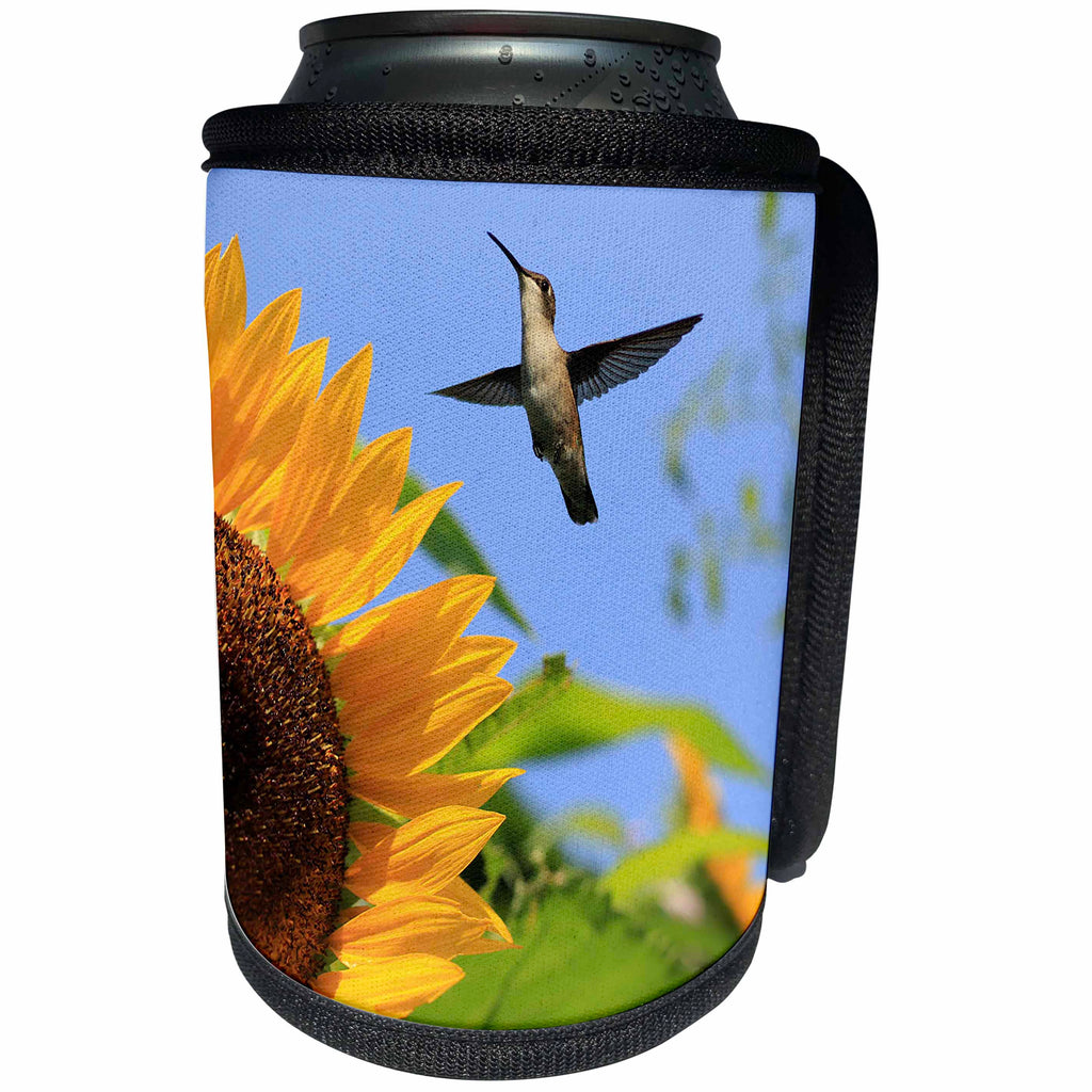 3dRose Stamp City - nature - Photo of a ruby throated hummingbird flying by a mammoth sunflower. - Can Cooler Bottle Wrap (cc_292979)