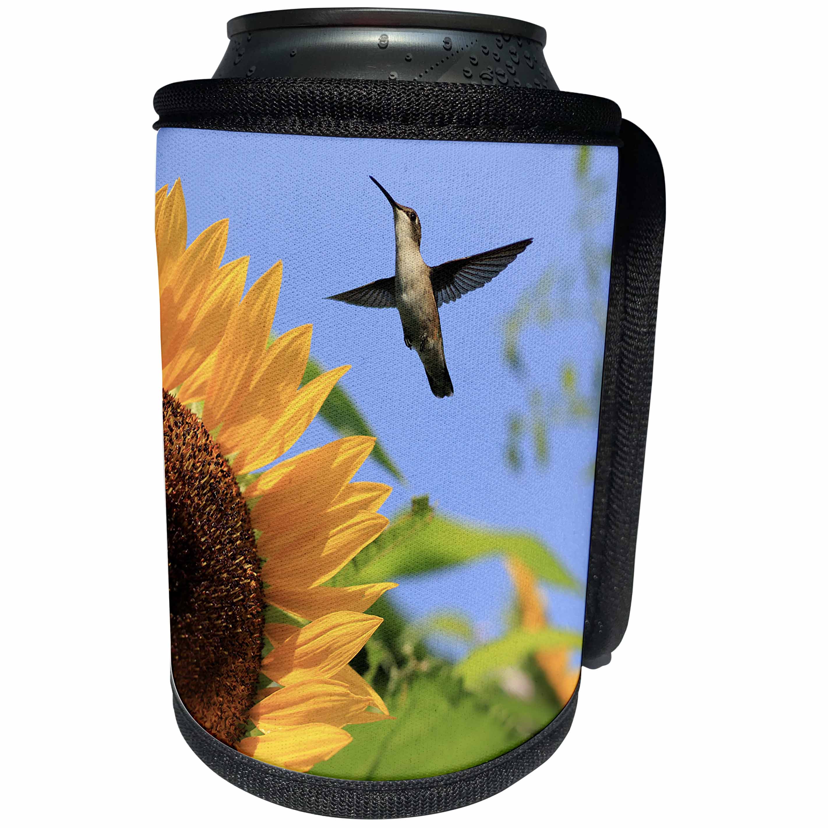 3dRose Stamp City - nature - Photo of a ruby throated hummingbird flying by a mammoth sunflower. - Can Cooler Bottle Wrap (cc_292979)