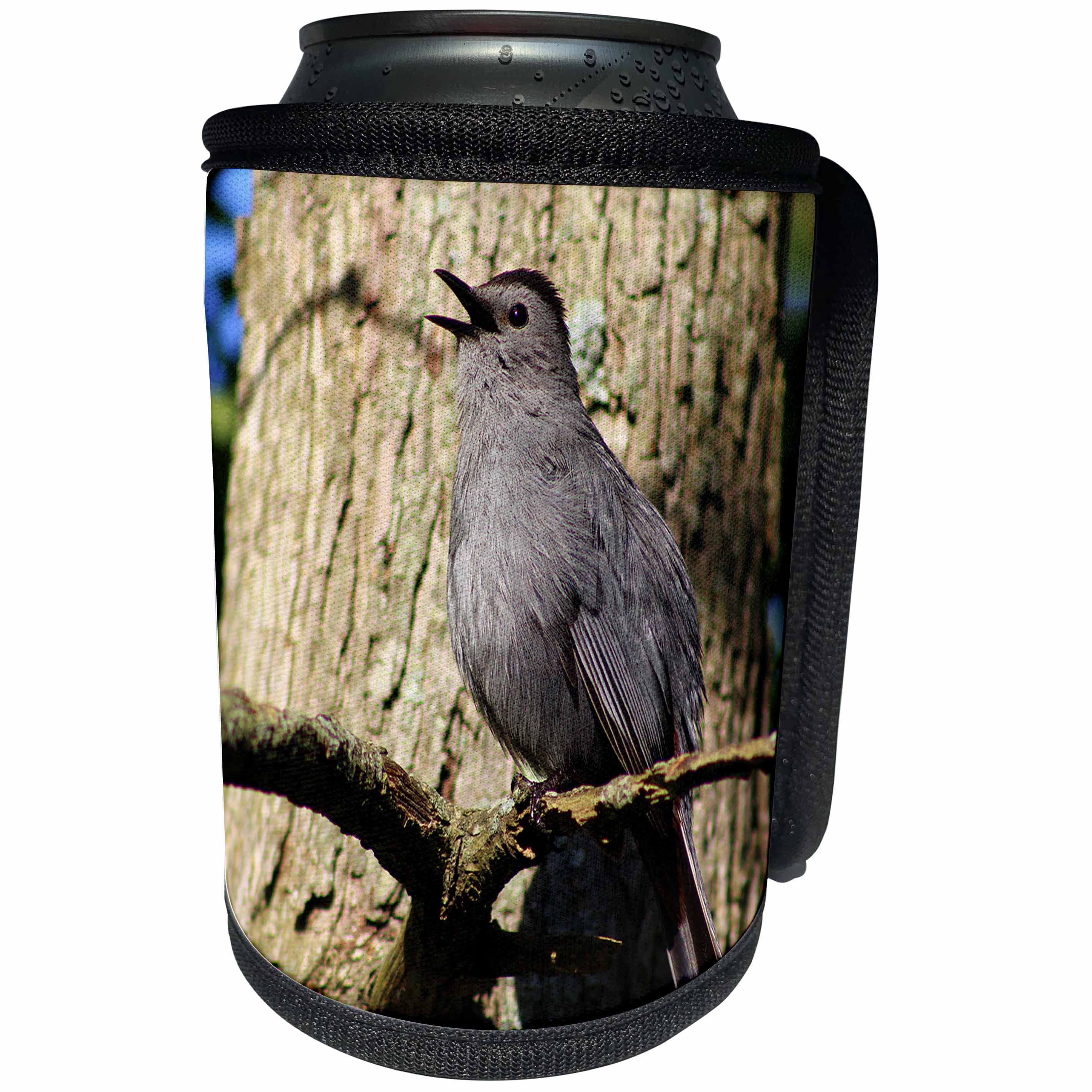 3dRose Stamp City - birds - Photograph of a gray catbird singing its pretty song on a tree branch. - Can Cooler Bottle Wrap (cc_292984)