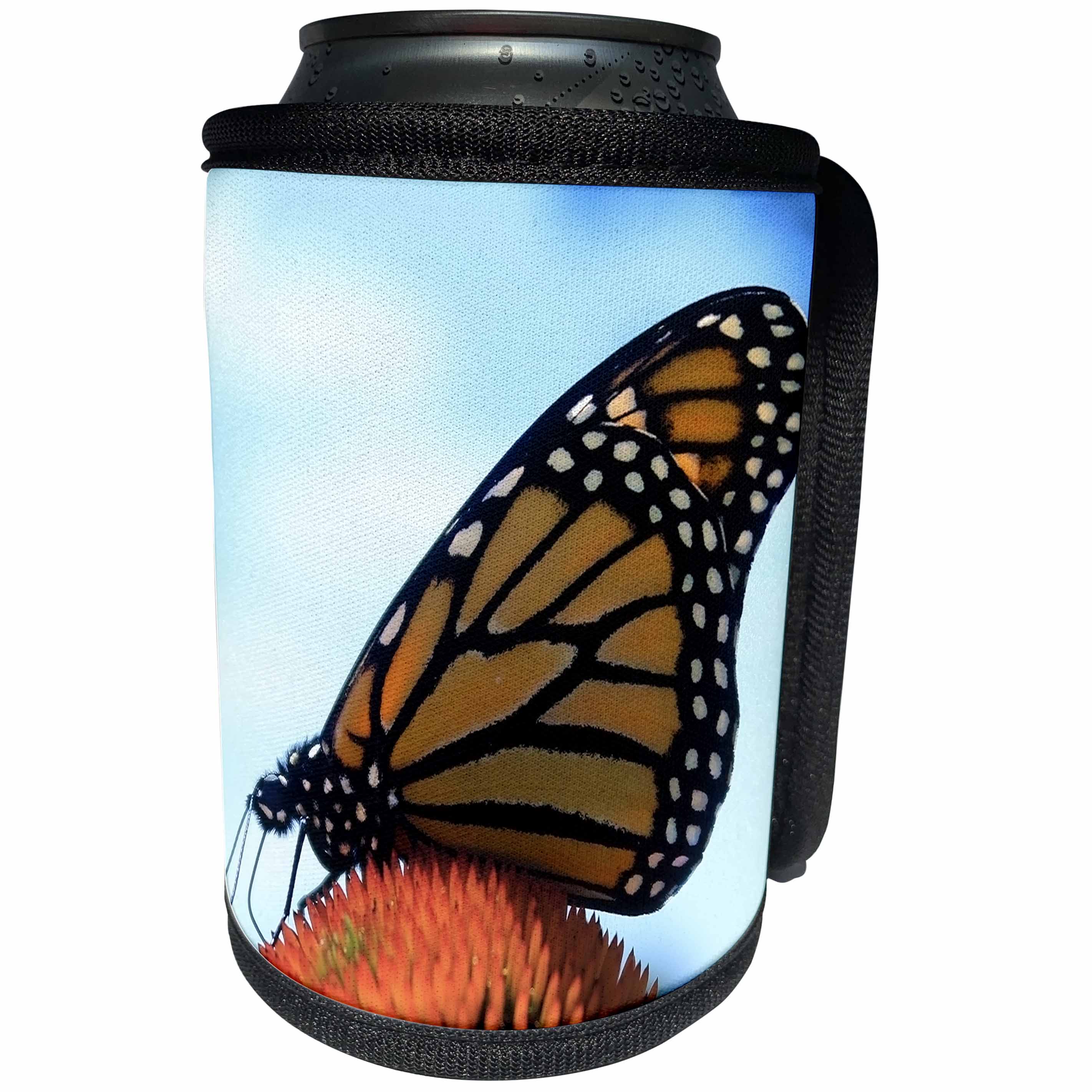 3dRose Stamp City - insects - Photograph of a beautiful monarch butterfly pollinating a coneflower. - Can Cooler Bottle Wrap (cc_292985)