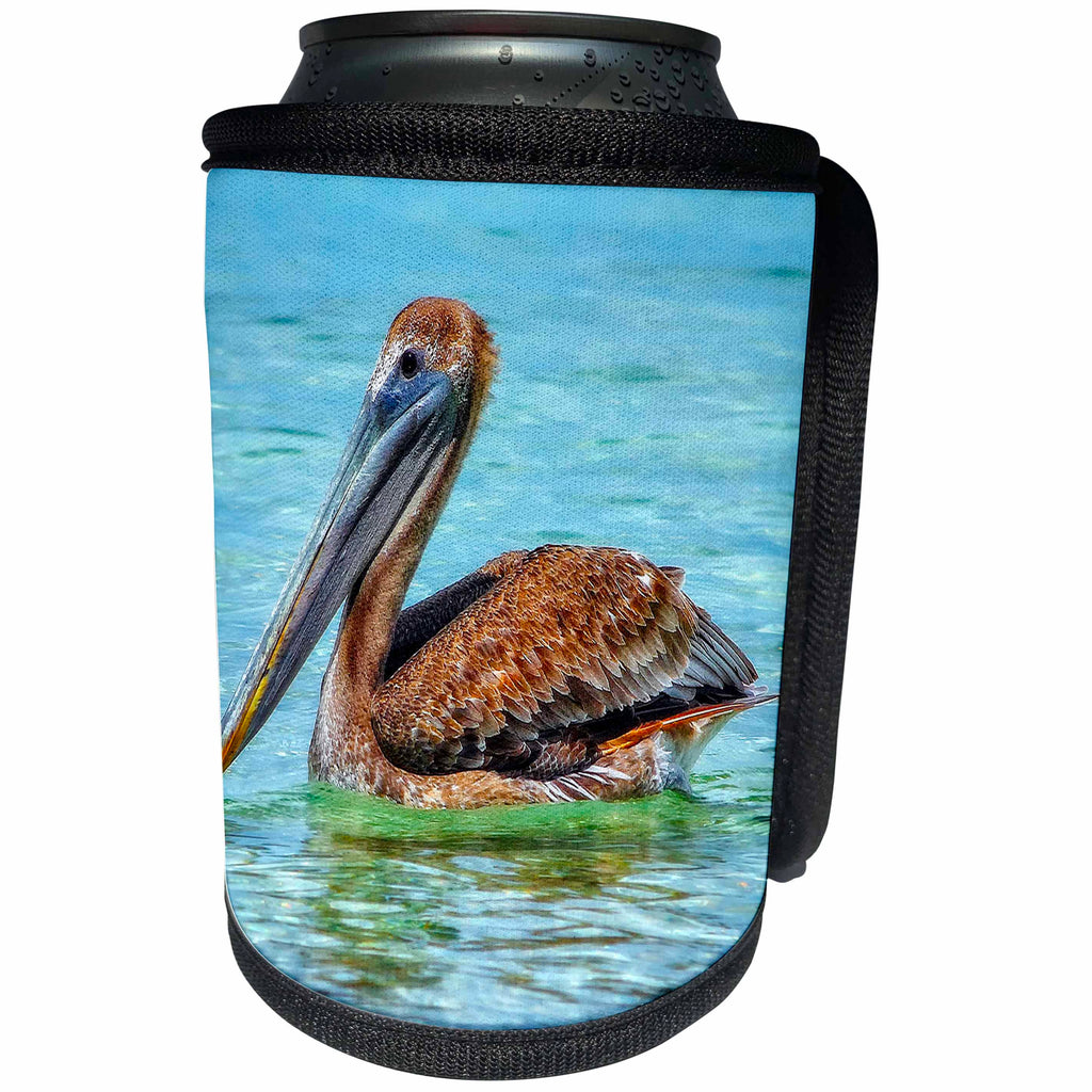 3dRose Mike Swindle Photography - Animals - Brown Pelican - Can Cooler Bottle Wrap (cc_293117)