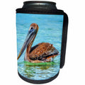 3dRose Mike Swindle Photography - Animals - Brown Pelican - Can Cooler Bottle Wrap (cc_293117)
