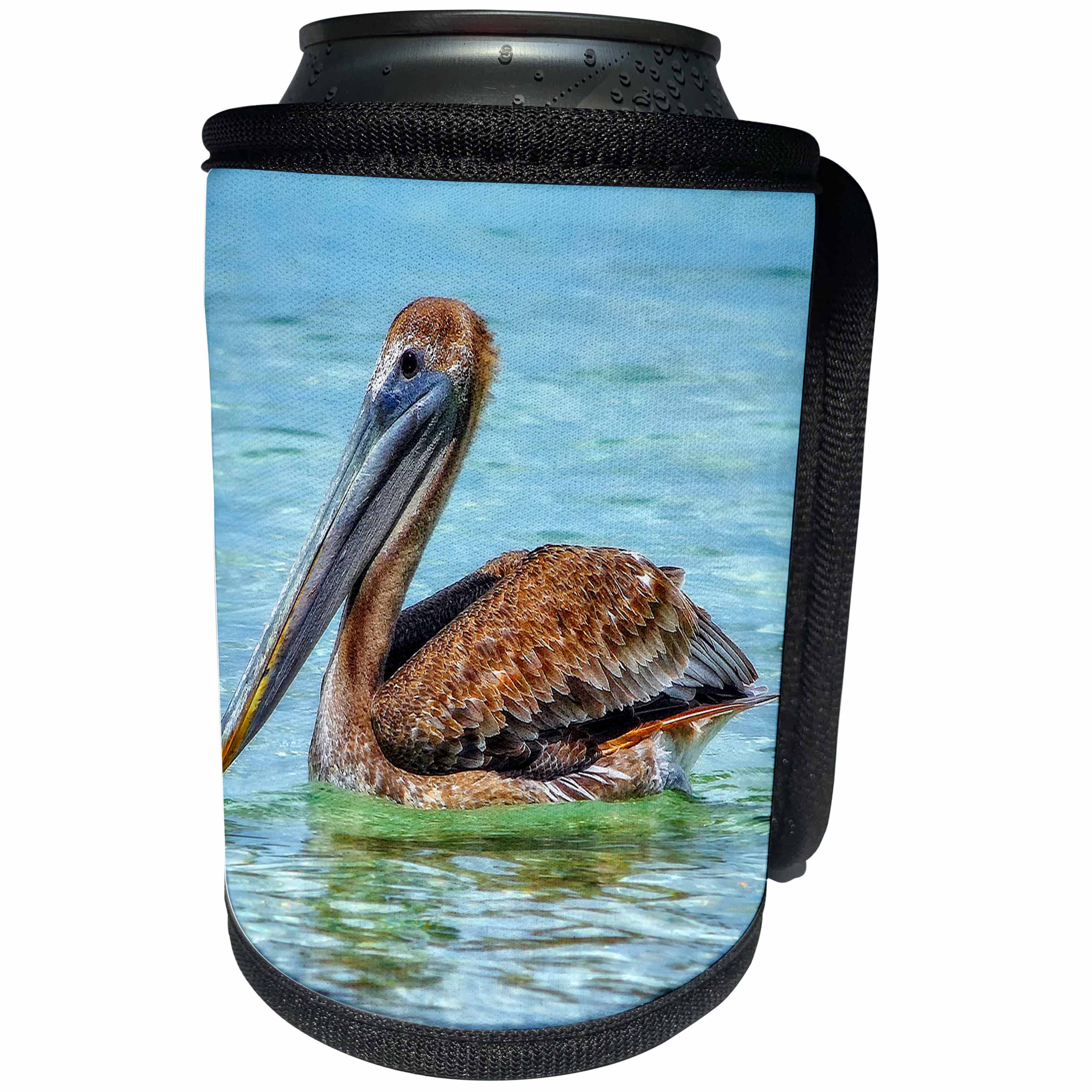 3dRose Mike Swindle Photography - Animals - Brown Pelican - Can Cooler Bottle Wrap (cc_293117)