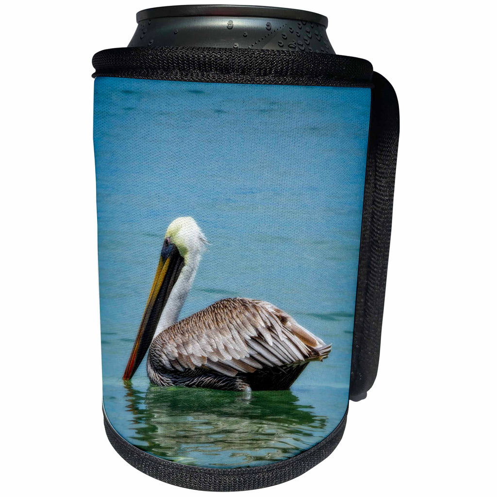 3dRose Mike Swindle Photography - Animals - Gray Pelican - Can Cooler Bottle Wrap (cc_293118)