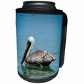 3dRose Mike Swindle Photography - Animals - Gray Pelican - Can Cooler Bottle Wrap (cc_293118)